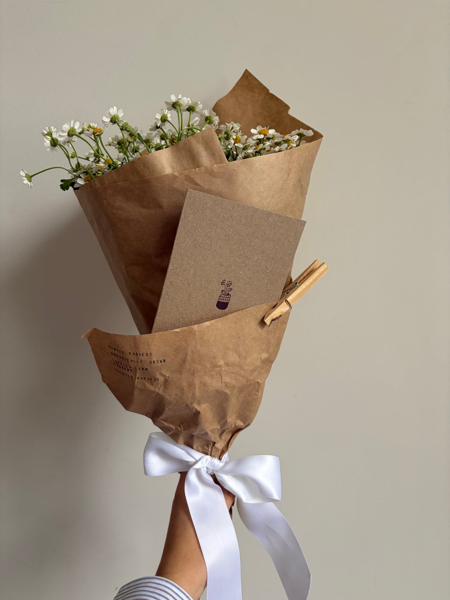 Decadent Daisies - Greeting Card