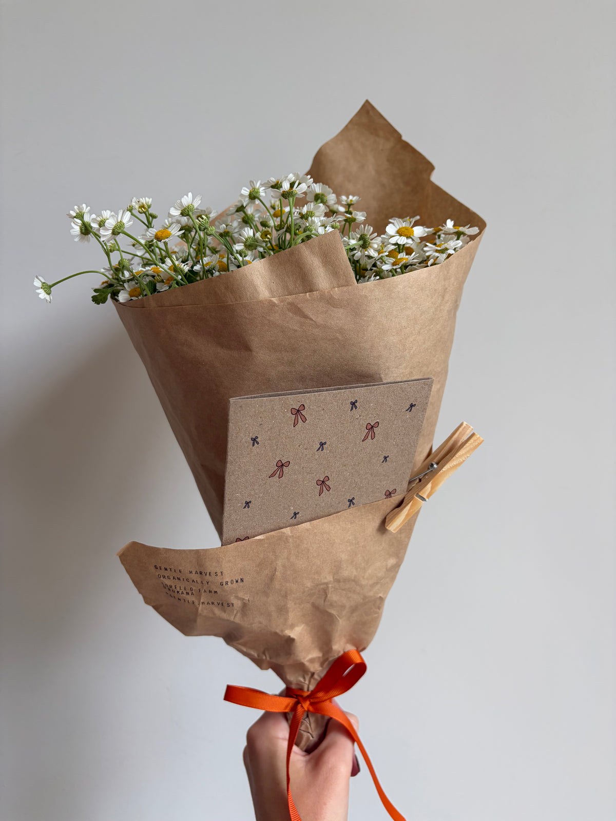 Beautiful Bows - Greeting Card