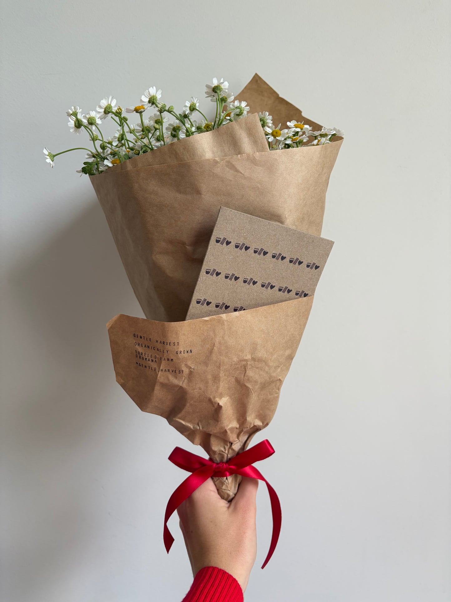 Cocoa Love - Greeting Card