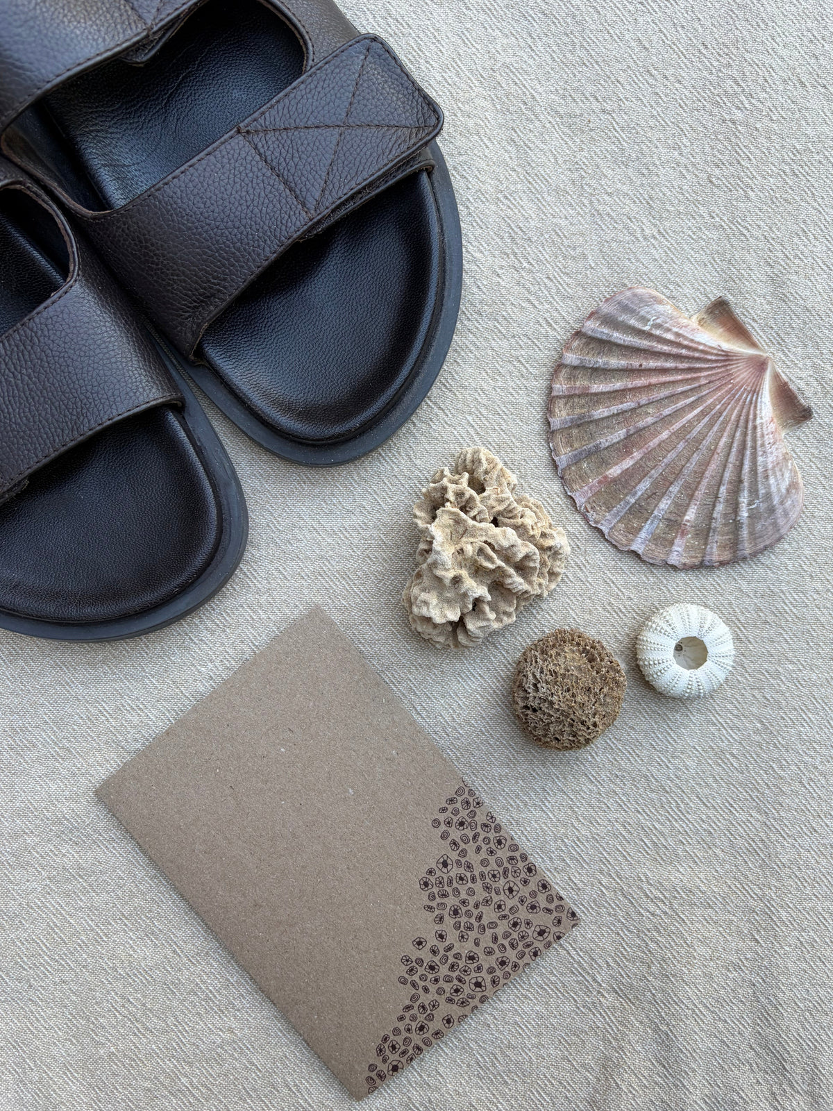 Barnacle - Greeting Card