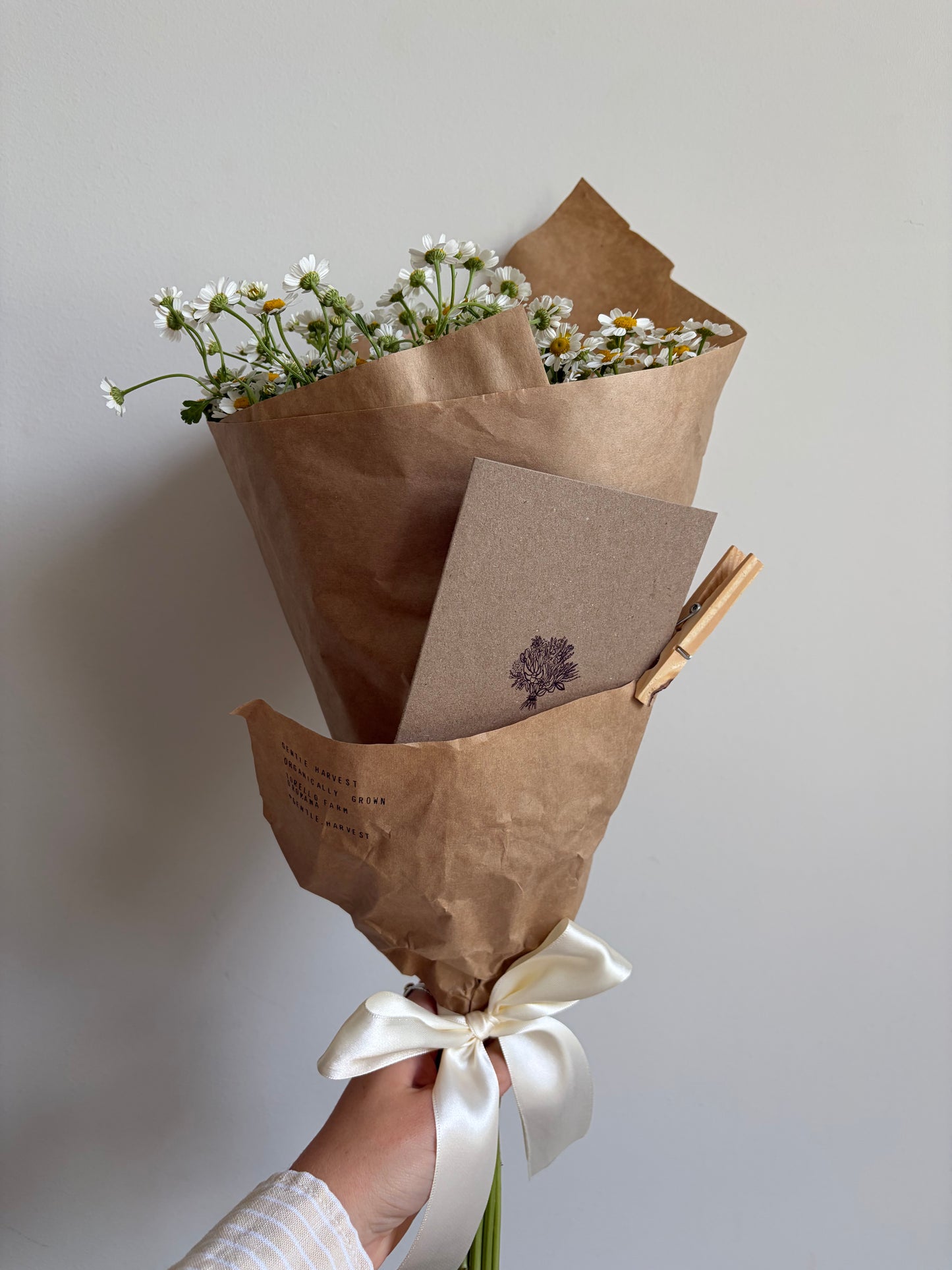 Banksia Bunch - Greeting Card