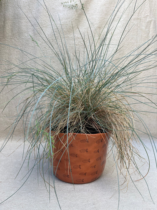 School of Stripe Fish Planter Pot - Large