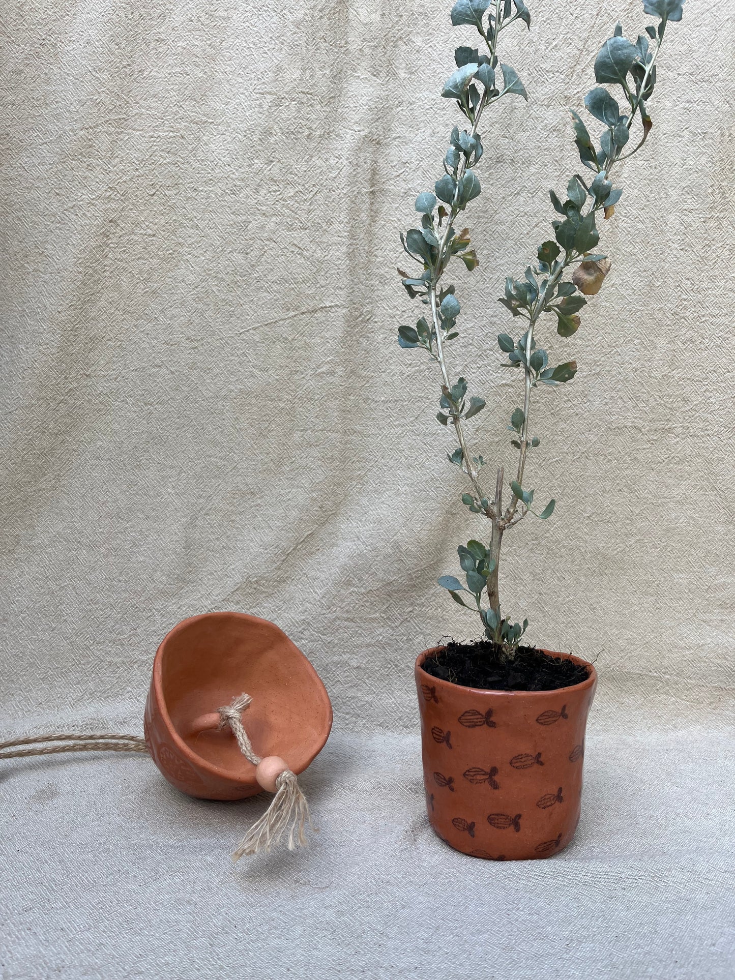 School of Stripe Fish Planter Pot - Small