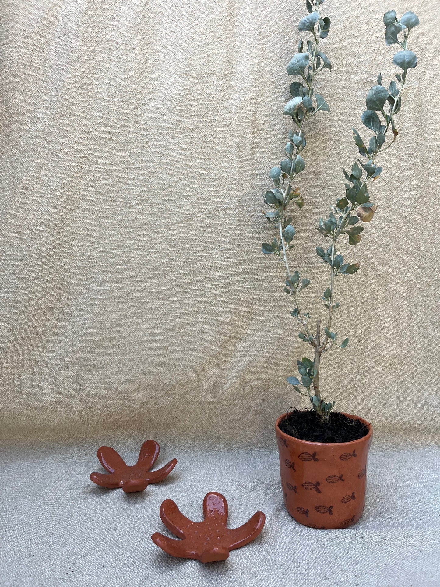 School of Stripe Fish Planter Pot - Small