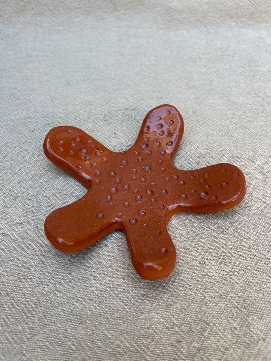 Starfish Dish