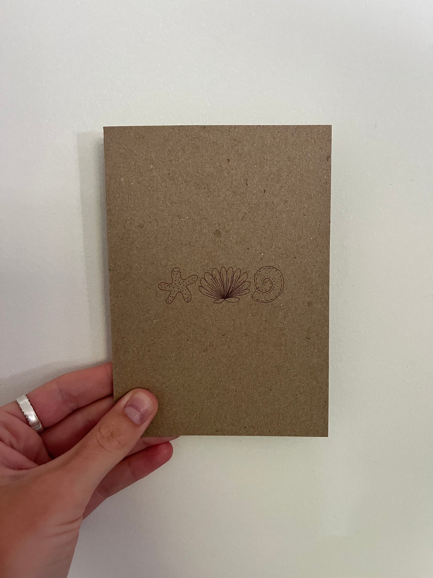 Shells - Greeting Card