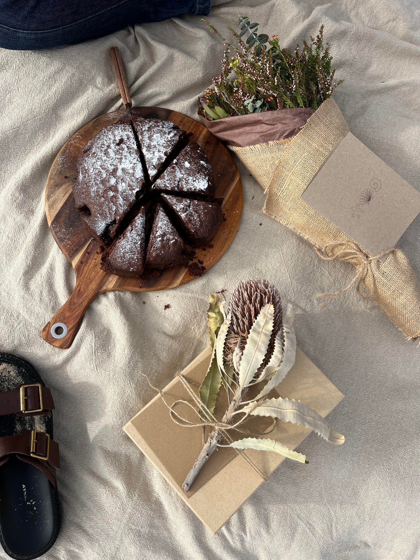 Shells - Greeting Card