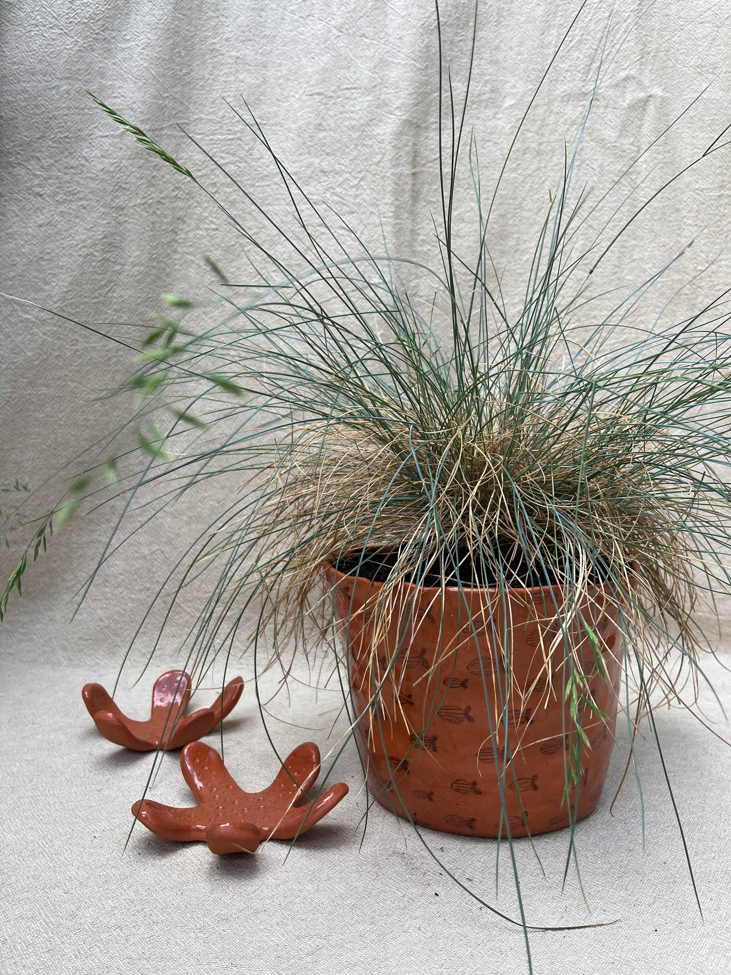 School of Stripe Fish Planter Pot - Large